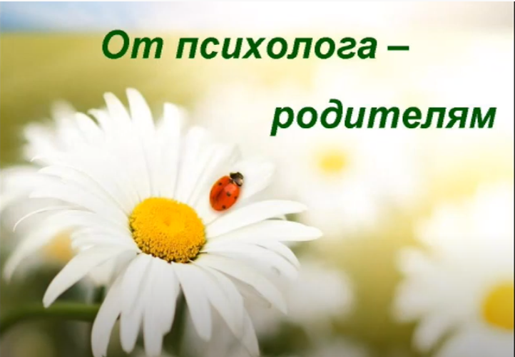 Советы психолога
